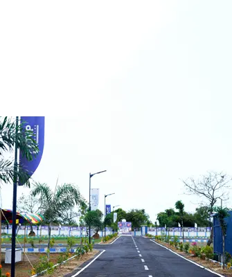 Gallery 7